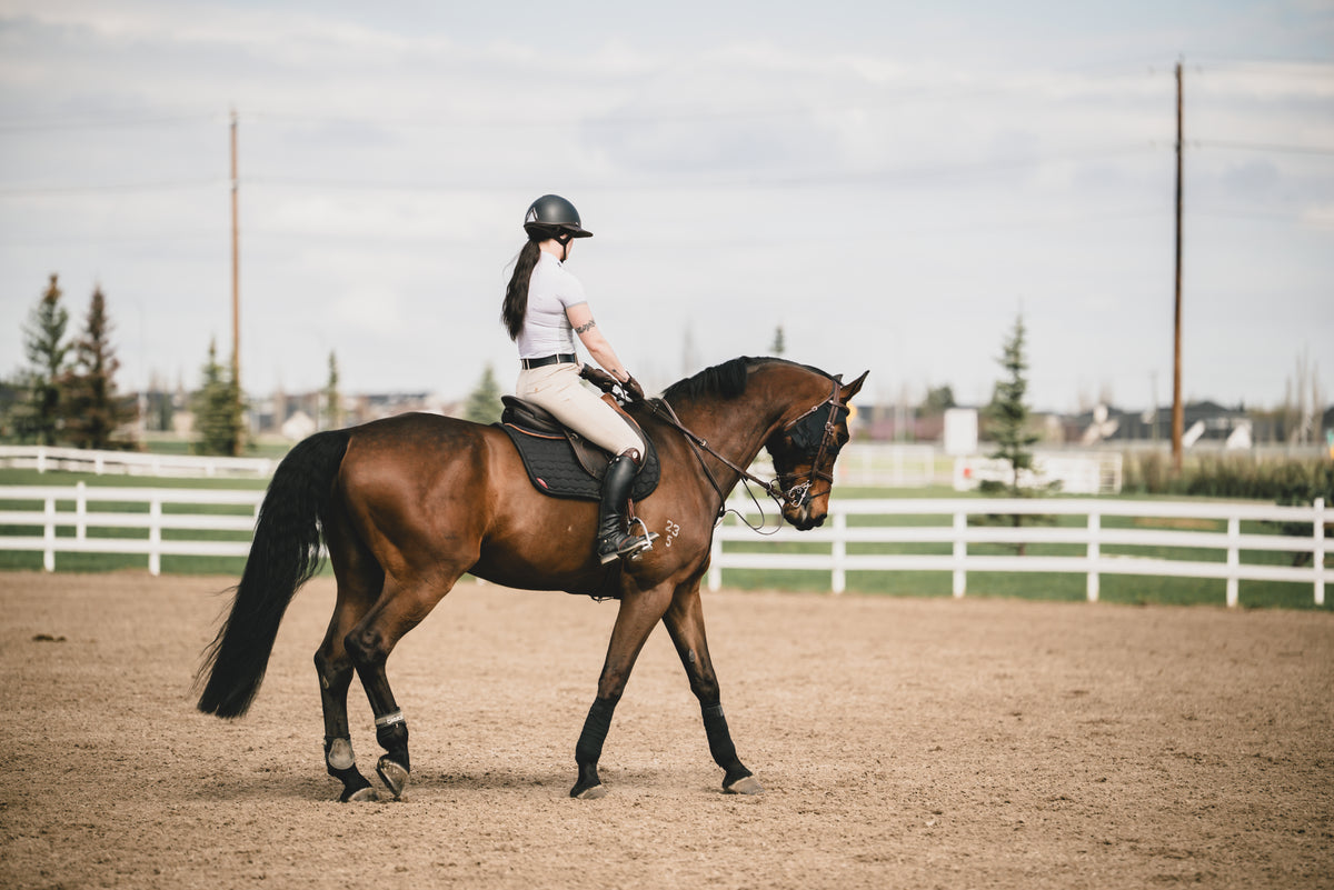 A woman in equestrian attire and Romitelli boots rides a brown horse in a sandy outdoor riding arena with white fences and trees in the background.